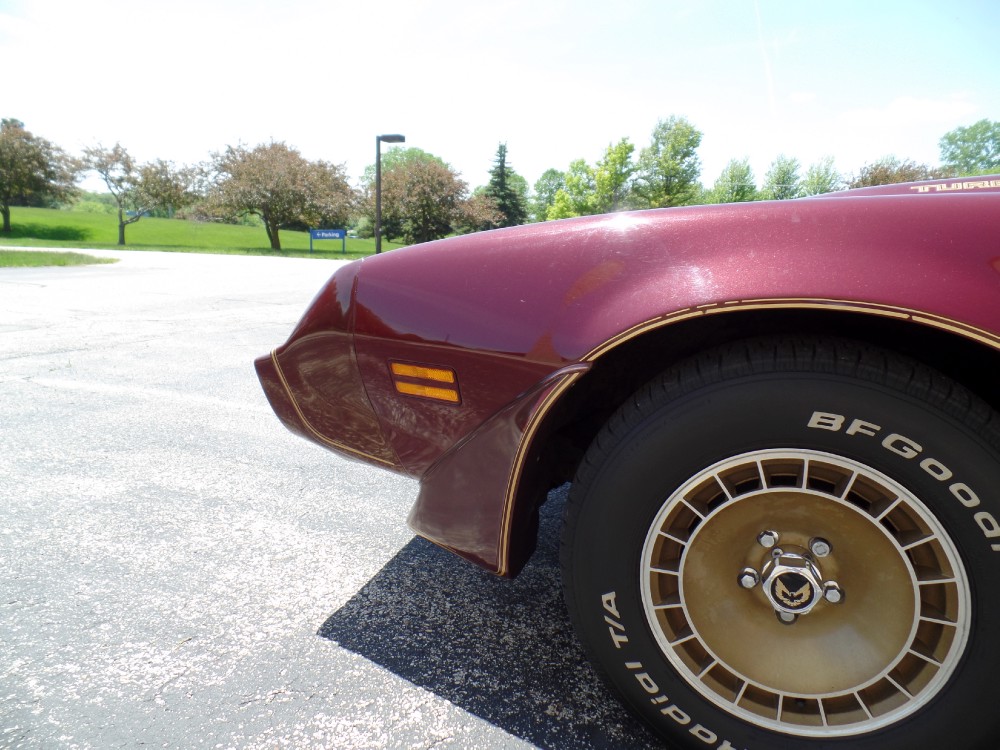 Used 1981 Pontiac Trans Am ORIGINAL -ONLY 29,311 MILES-WITH T-TOPS-MINT CAR-SEE VIDEO | Mundelein, IL