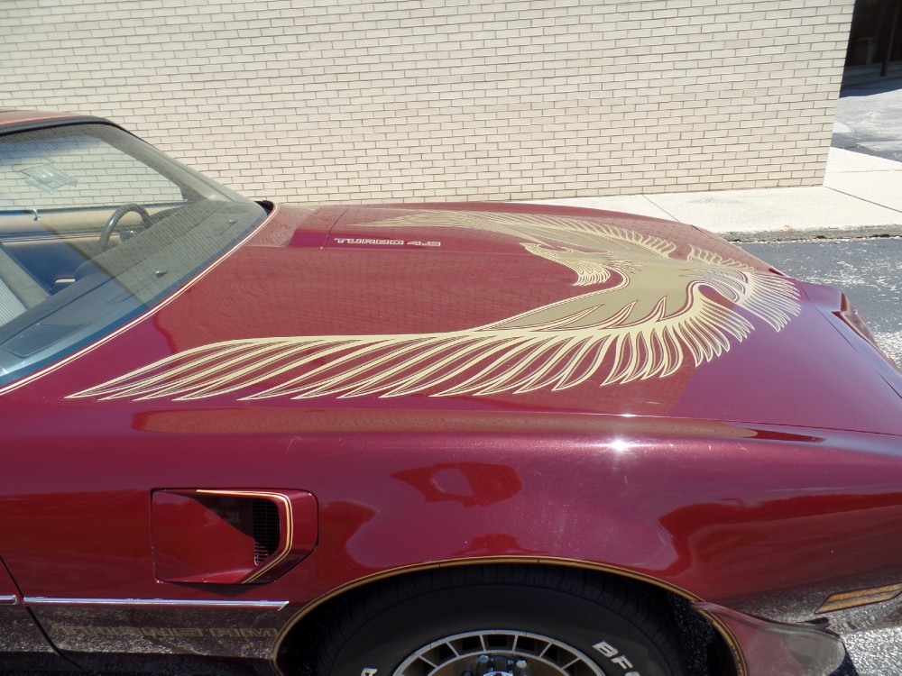 Used 1981 Pontiac Trans Am ORIGINAL -ONLY 29,311 MILES-WITH T-TOPS-MINT CAR-SEE VIDEO | Mundelein, IL