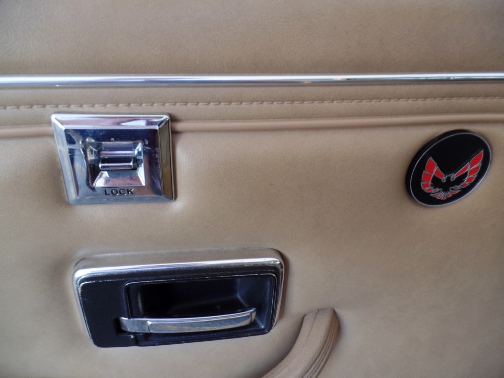 Used 1981 Pontiac Trans Am ORIGINAL -ONLY 29,311 MILES-WITH T-TOPS-MINT CAR-SEE VIDEO | Mundelein, IL