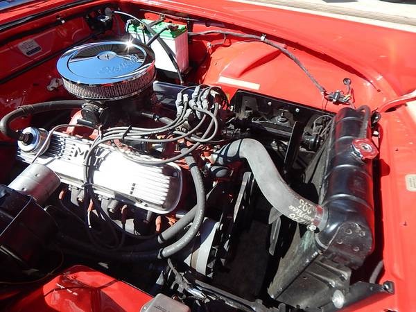 Used 1955 Ford Thunderbird FRAME OFF RESTORED | Mundelein, IL