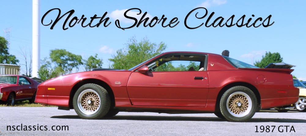 Used 1987 Pontiac Trans am/GTA MINT CONDITION-5.7 GTA | Mundelein, IL