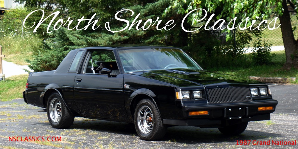 Used 1987 Buick Grand National SOLID 2 OWNER ORIGINAL HARDTOP-CLEAN CARFAX REPORT-SEE VIDEO-PRICED TO SELL | Mundelein, IL
