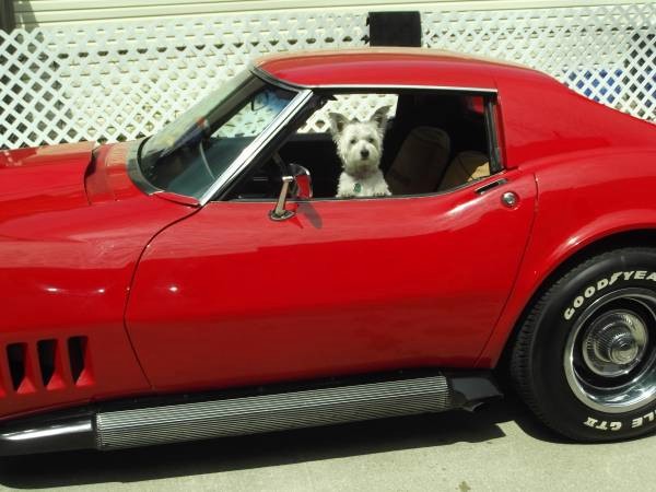 Used 1968 Chevrolet Corvette 15TH ANNIVERSARY CORVETTE | Mundelein, IL