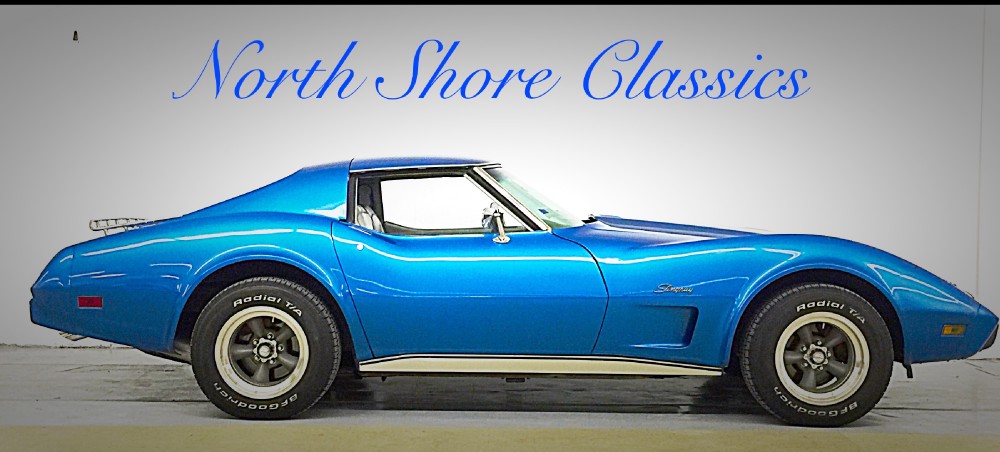 Used 1976 CHEVROLET CORVETTE STINGRAY COUPE | Mundelein, IL
