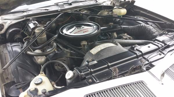 Used 1977 Oldsmobile Cutlass UNRESTORED All original. One of a kind Salon! | Mundelein, IL