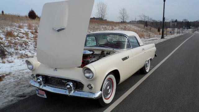 Used 1955 Ford Thunderbird RESTORED | Mundelein, IL