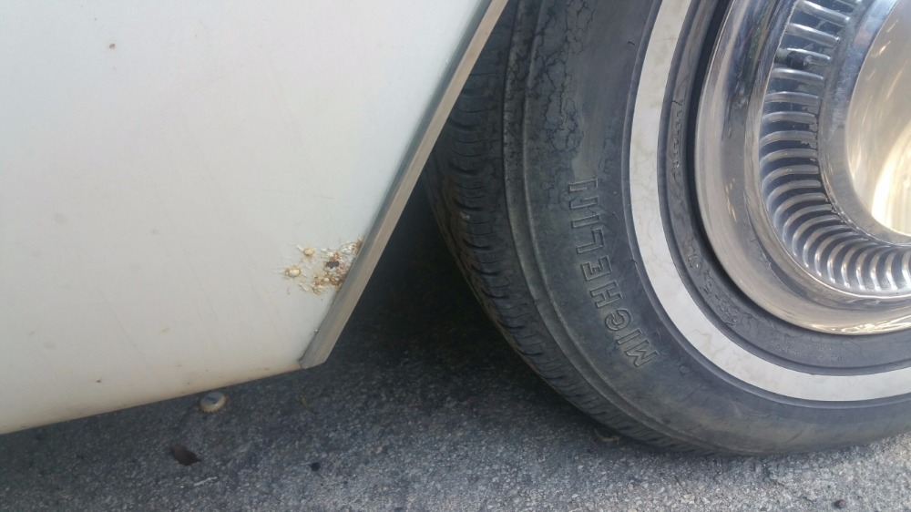 Used 1967 Lincoln Continental Suicide doors. Rare find! | Mundelein, IL