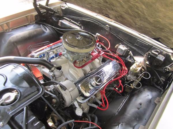 Used 1965 Pontiac GTO Good solid body. What a Gem! | Mundelein, IL