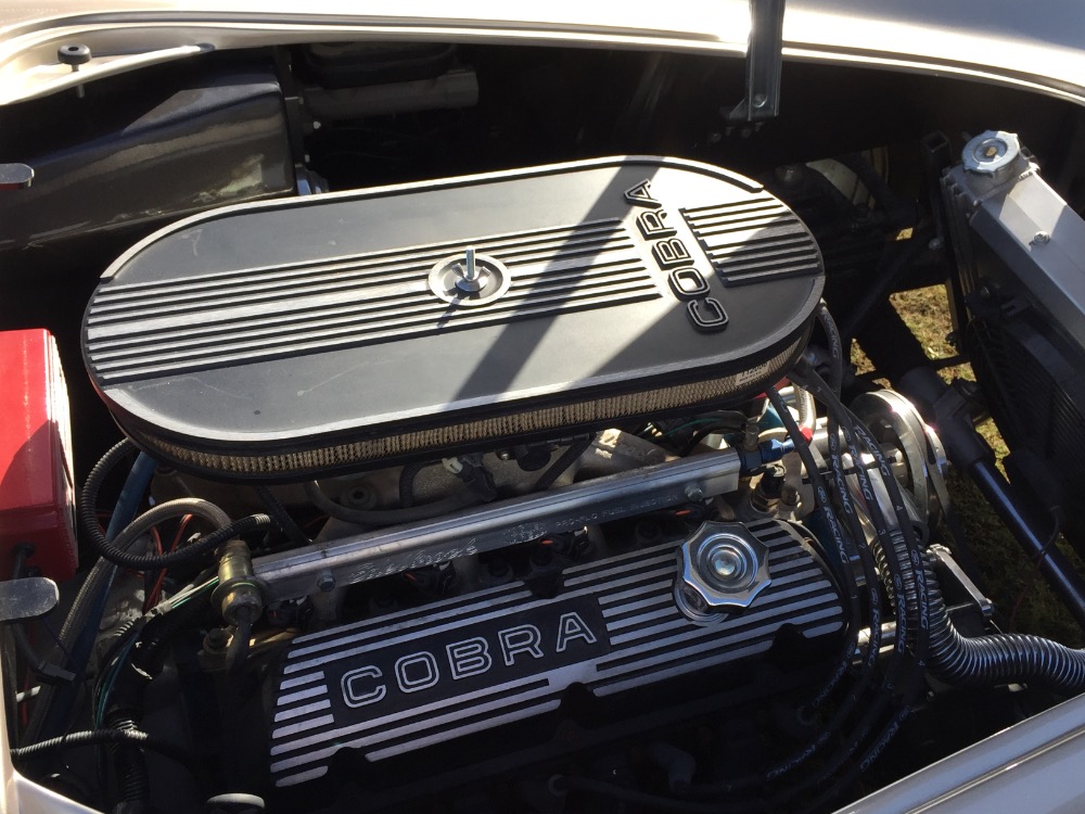 Used 1965 Ford Cobra -SEE VIDEO-FUEL INJECTED-NEW BUILD-SUMMER FUN-PHANTOM BODY KIT- | Mundelein, IL