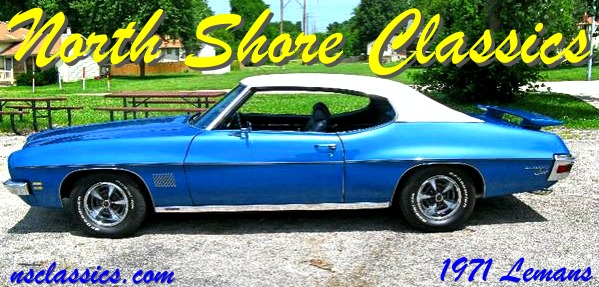 Used 1971 Pontiac Lemans GORGEOUS COLOR COMBO! | Mundelein, IL