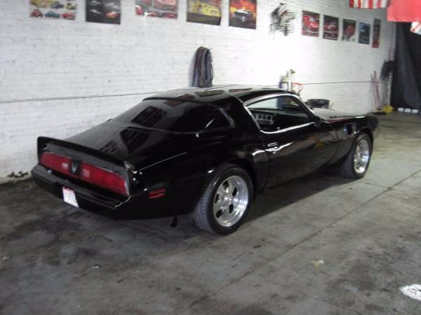 Used 1981 Pontiac Trans Am BLACK ON BLACK BEAUTY | Mundelein, IL