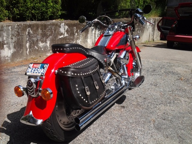 Used 1988 Harley Davidson Flstc Softtail  | Mundelein, IL