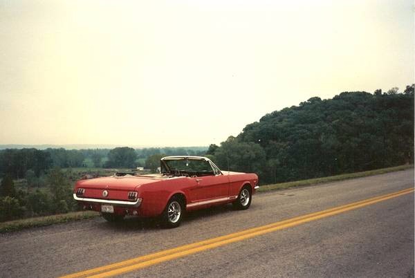 Used 1966 Ford Mustang What a gem-Restored Condition | Mundelein, IL