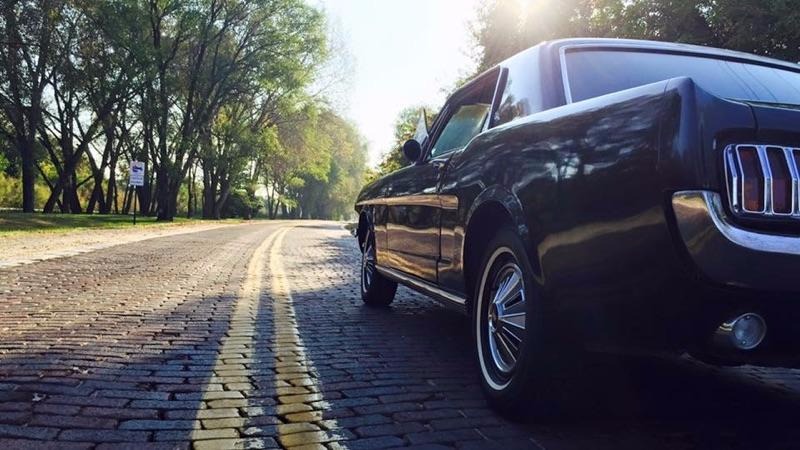 Used 1966 Ford Mustang Clean Pony | Mundelein, IL