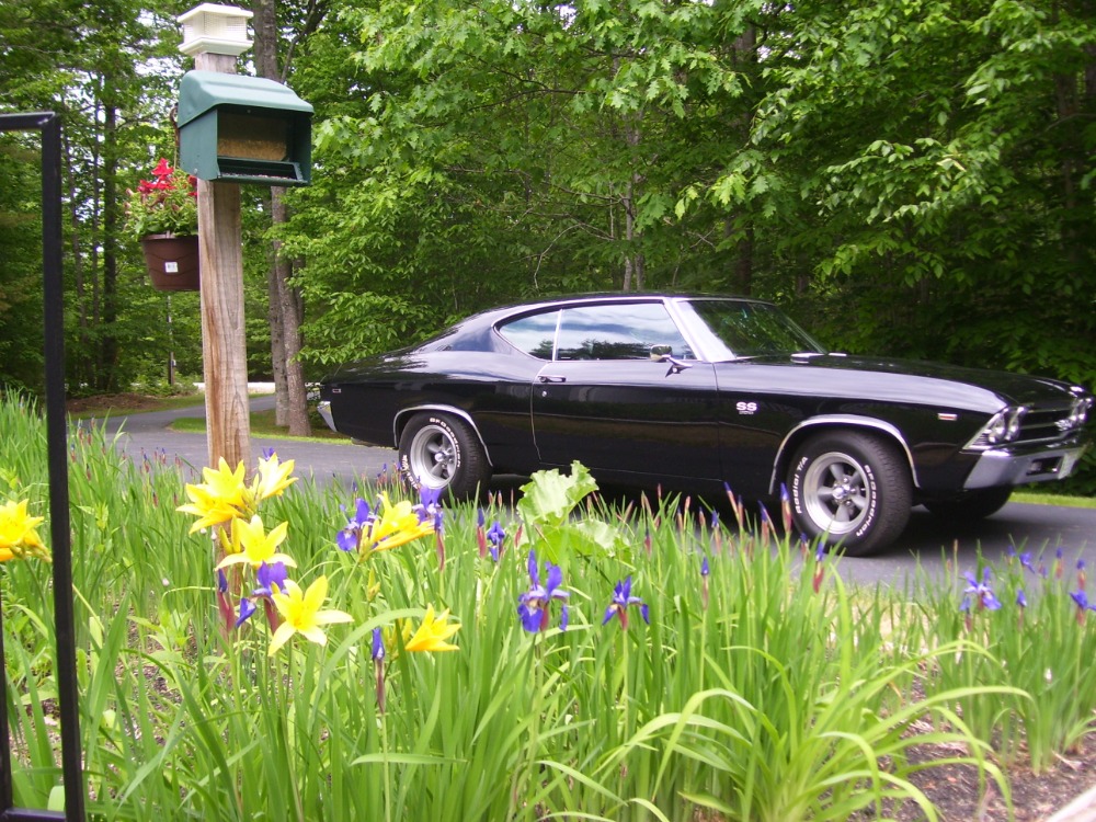 Used 1969 Chevrolet Chevelle - Sharp Chevelle - See Videos - | Mundelein, IL