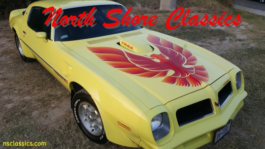 Used 1976 Pontiac Trans Am - Texas Car - NEW LOW PRICE! | Mundelein, IL