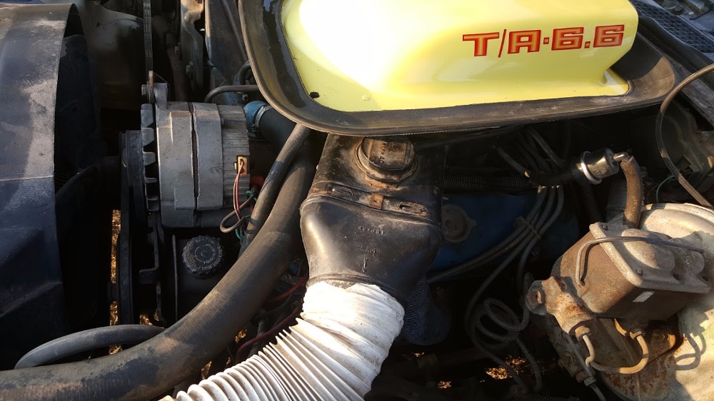 Used 1976 Pontiac Trans Am - Texas Car - NEW LOW PRICE! | Mundelein, IL