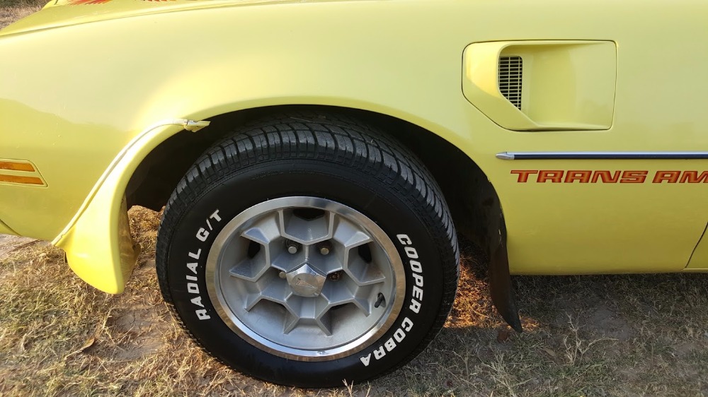 Used 1976 Pontiac Trans Am - Texas Car - NEW LOW PRICE! | Mundelein, IL