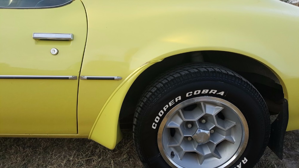 Used 1976 Pontiac Trans Am - Texas Car - NEW LOW PRICE! | Mundelein, IL