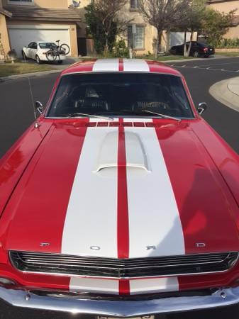 Used 1966 Ford Mustang -SHELBY GT CLONE- | Mundelein, IL