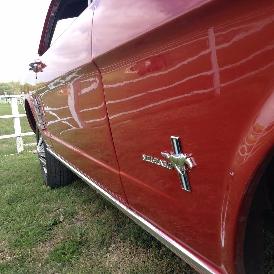 Used 1966 Ford Mustang -V8 302- GREAT QUALITY DRIVER- CALL TODAY | Mundelein, IL