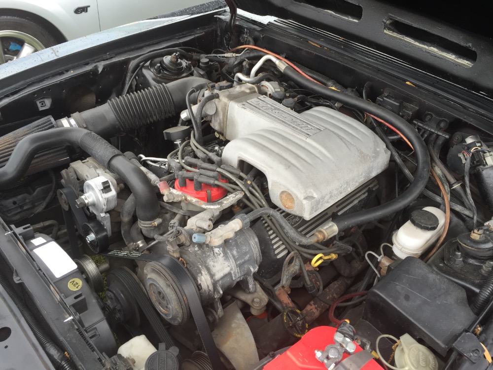 Used 1988 Ford Mustang LX-5.0 Notchback from Florida | Mundelein, IL