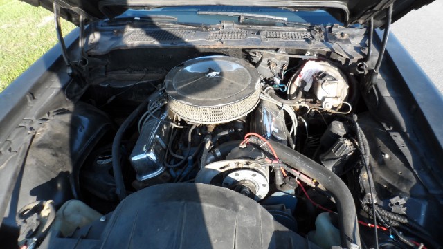 Used 1979 Pontiac Firebird Trans Am-SEE VIDEO | Mundelein, IL