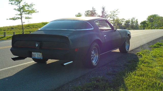 Used 1979 Pontiac Firebird Trans Am-SEE VIDEO | Mundelein, IL