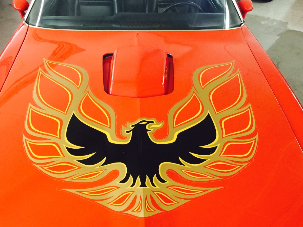 Used 1978 Pontiac Trans Am ONLY 21,000 ORIGINAL MILES- | Mundelein, IL