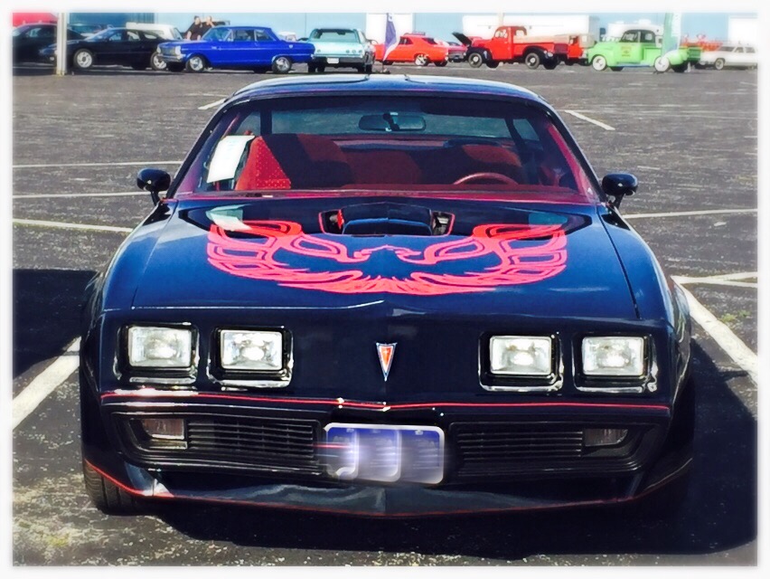 Used 1979 Pontiac Formula/Trans Am Nice paint- Well maintained with T Tops | Mundelein, IL