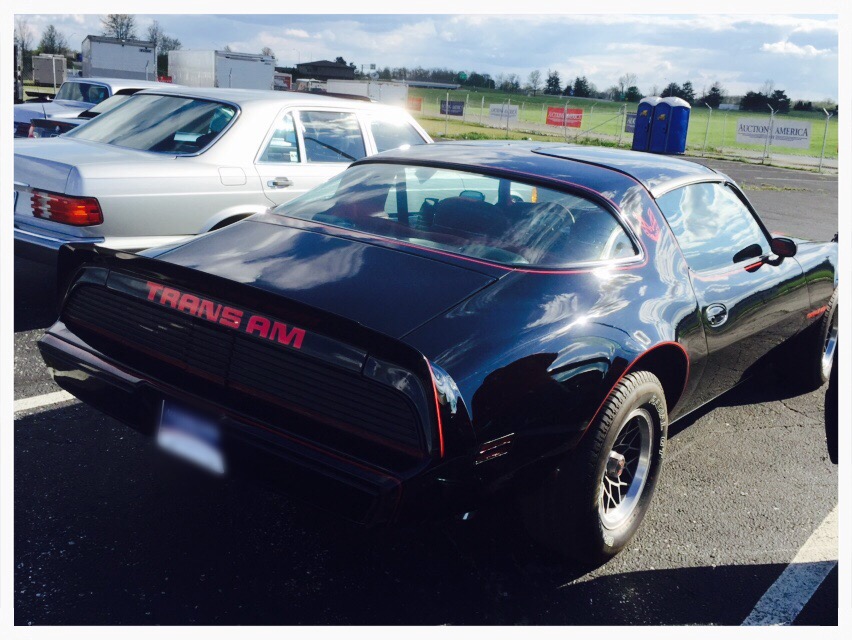 Used 1979 Pontiac Formula/Trans Am Nice paint- Well maintained with T Tops | Mundelein, IL