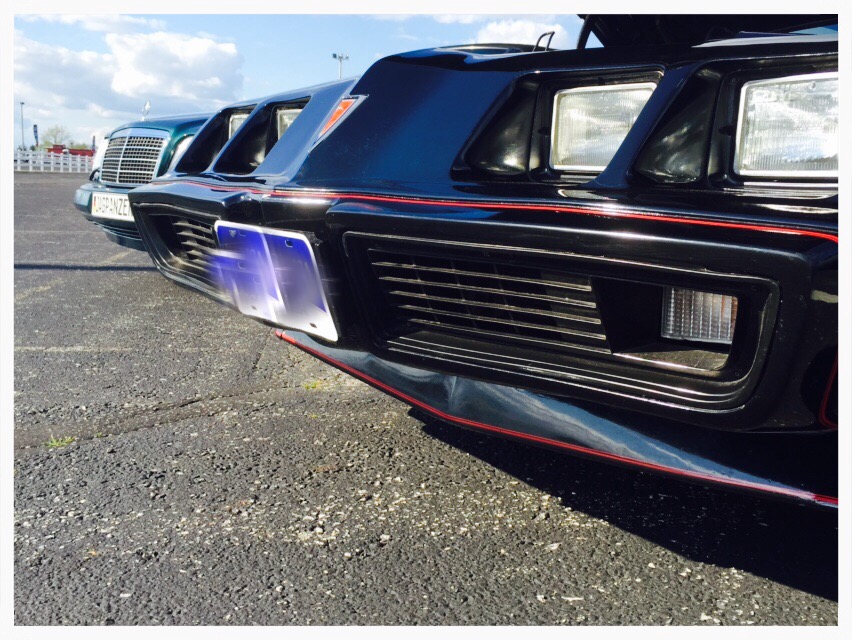 Used 1979 Pontiac Formula/Trans Am Nice paint- Well maintained with T Tops | Mundelein, IL