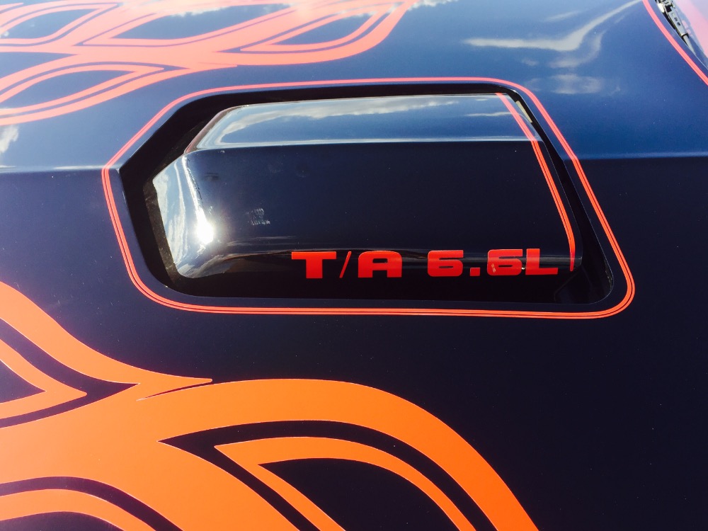Used 1979 Pontiac Formula/Trans Am Nice paint- Well maintained with T Tops | Mundelein, IL