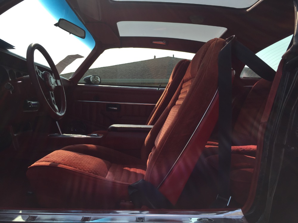 Used 1979 Pontiac Formula/Trans Am Nice paint- Well maintained with T Tops | Mundelein, IL