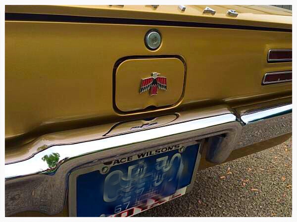 Used 1967 Pontiac Firebird Numbers Matching U Code 400 | Mundelein, IL