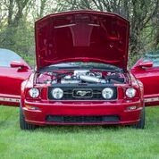 Used 2005 Ford Mustang Very Clean- | Mundelein, IL