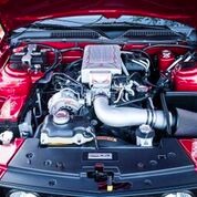 Used 2005 Ford Mustang Very Clean- | Mundelein, IL