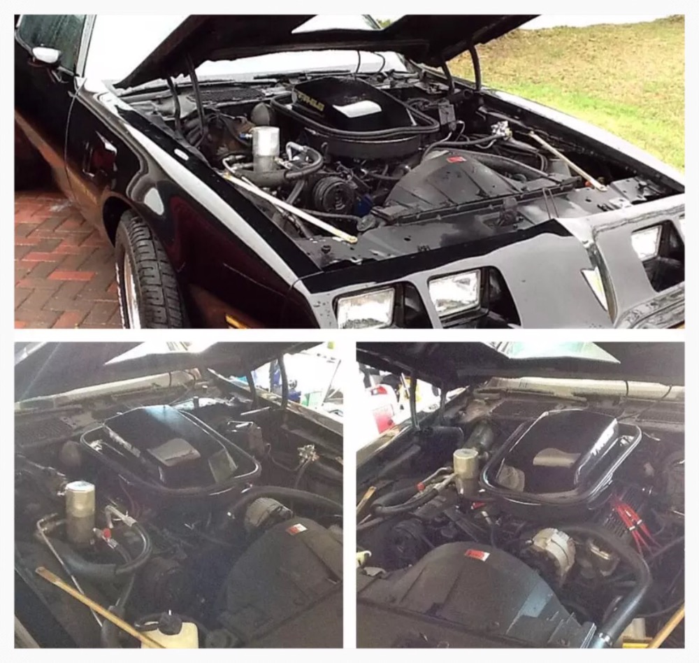 Used 1979 Pontiac Trans Am --This is 1 Bad Black Bird- With AC- rust free Bird!- Ready for the Car Sho | Mundelein, IL