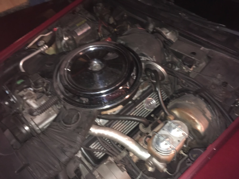 Used 1981 Chevrolet Corvette -COKE BOTTLE VETTE- FRESH PAINT- CUSTOM INTERIOR- | Mundelein, IL