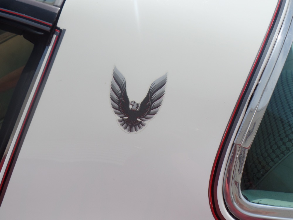 Used 1980 Pontiac Trans Am Restored Clean Bird-with T-Tops-Reliable Driver-SEE VIDEO | Mundelein, IL