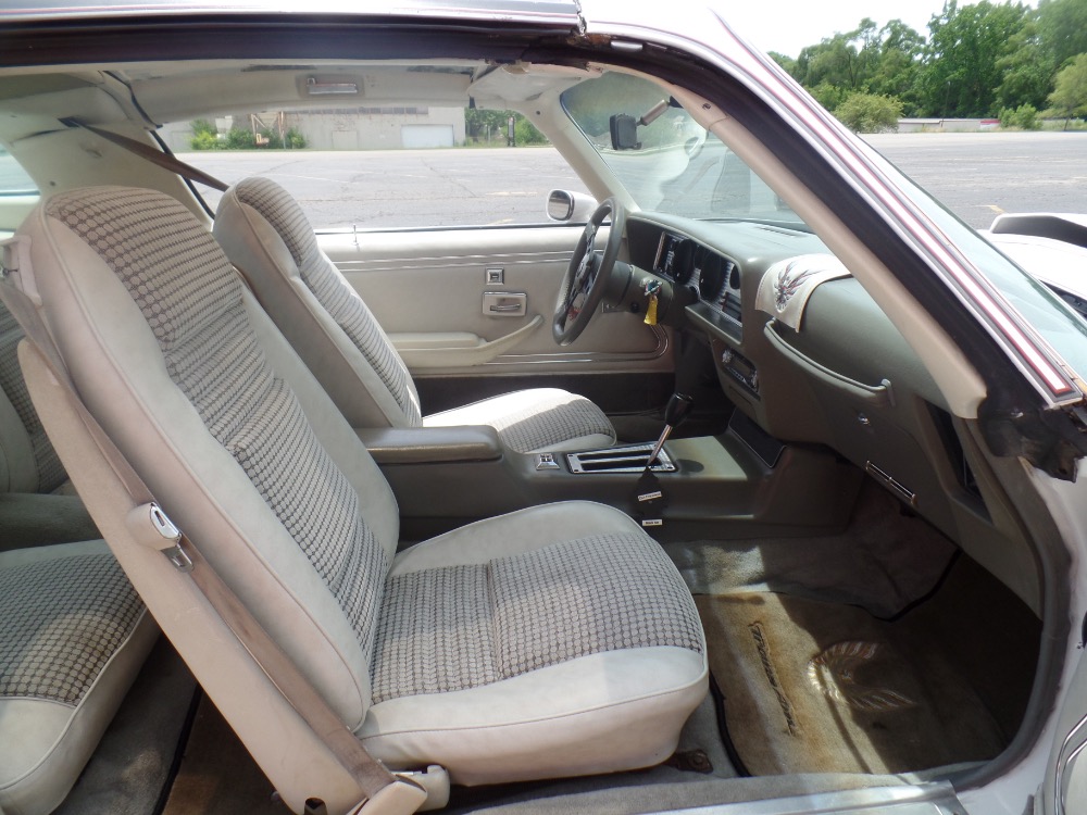 Used 1980 Pontiac Trans Am Restored Clean Bird-with T-Tops-Reliable Driver-SEE VIDEO | Mundelein, IL