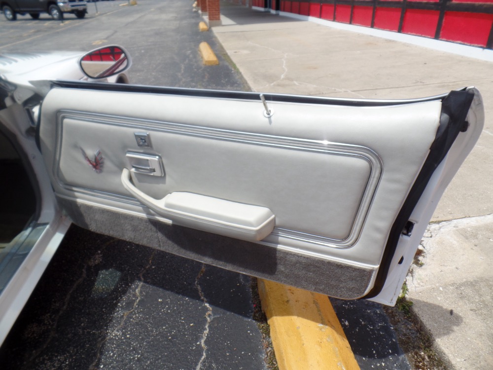 Used 1980 Pontiac Trans Am Restored Clean Bird-with T-Tops-Reliable Driver-SEE VIDEO | Mundelein, IL