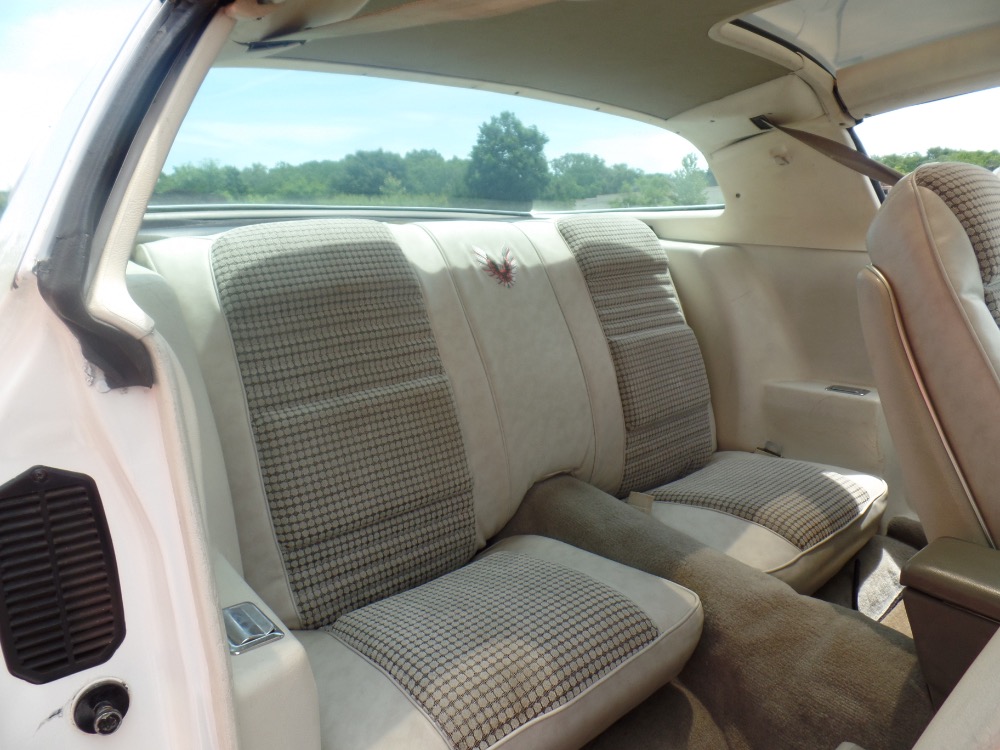 Used 1980 Pontiac Trans Am Restored Clean Bird-with T-Tops-Reliable Driver-SEE VIDEO | Mundelein, IL