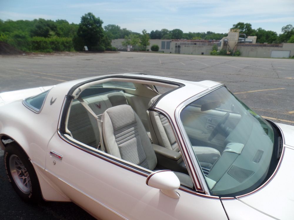 Used 1980 Pontiac Trans Am Restored Clean Bird-with T-Tops-Reliable Driver-SEE VIDEO | Mundelein, IL