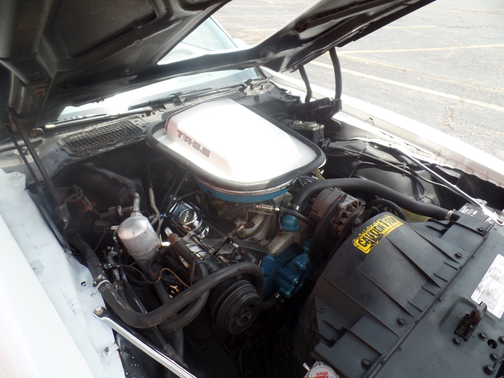 Used 1980 Pontiac Trans Am Restored Clean Bird-with T-Tops-Reliable Driver-SEE VIDEO | Mundelein, IL
