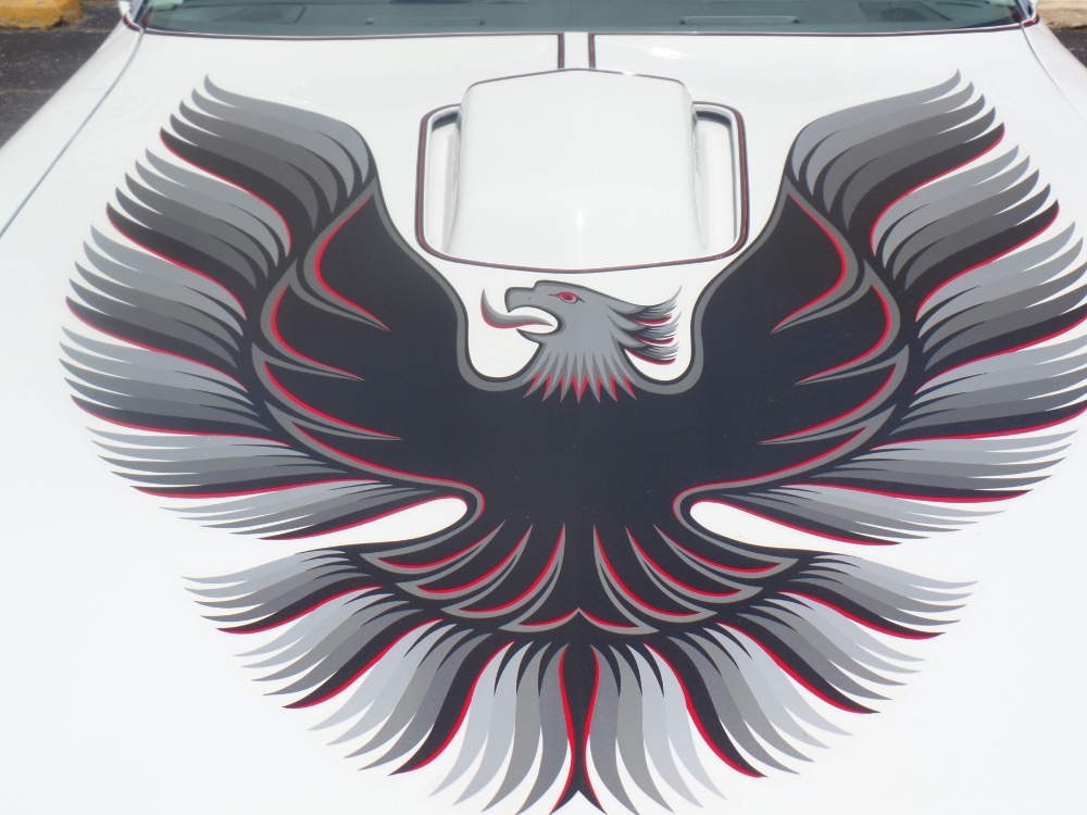 Used 1980 Pontiac Trans Am Restored Clean Bird-with T-Tops-Reliable Driver-SEE VIDEO | Mundelein, IL