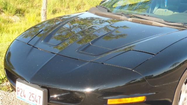 Used 1995 Pontiac Firebird Formula-Sold by Owner | Mundelein, IL