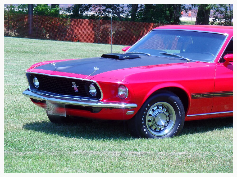 Used 1969 Ford Mustang 428 COBRA JET-MACH 1-SHOWROOM QUALITY CONDITION-SEE VIDEO | Mundelein, IL
