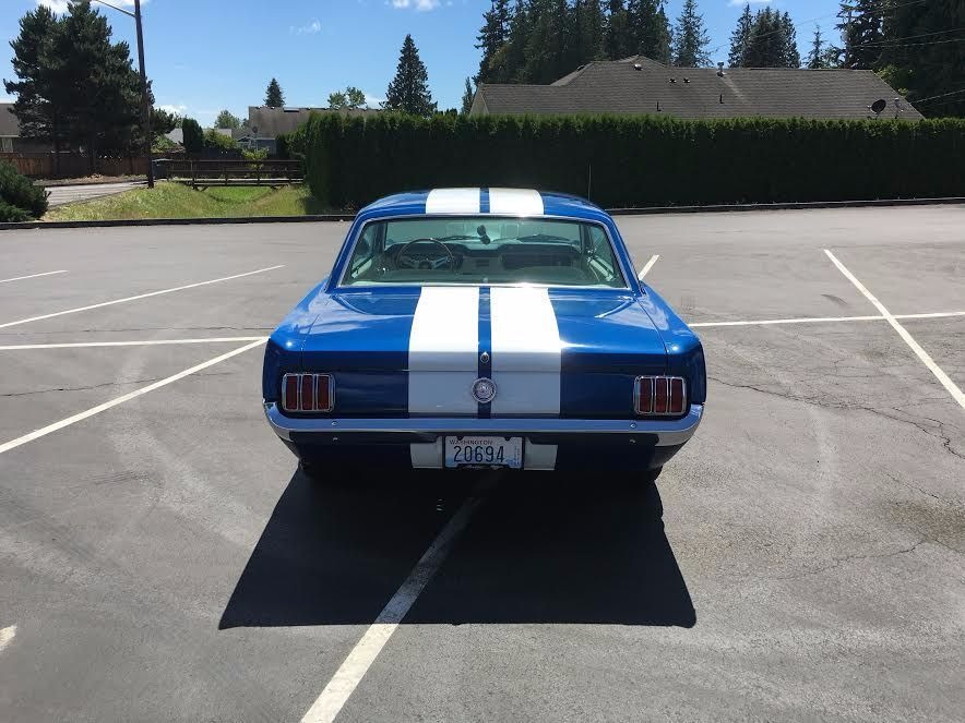 Used 1965 Ford Mustang GT350 TRIBUTE-WHAT A CAR- SEE VIDEO | Mundelein, IL