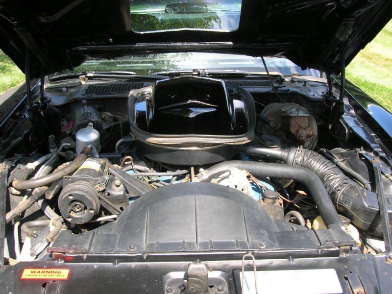 Used 1978 Pontiac Trans Am NICE 6.6 Black Bird- LOW original Mile-SEE VIDEO | Mundelein, IL